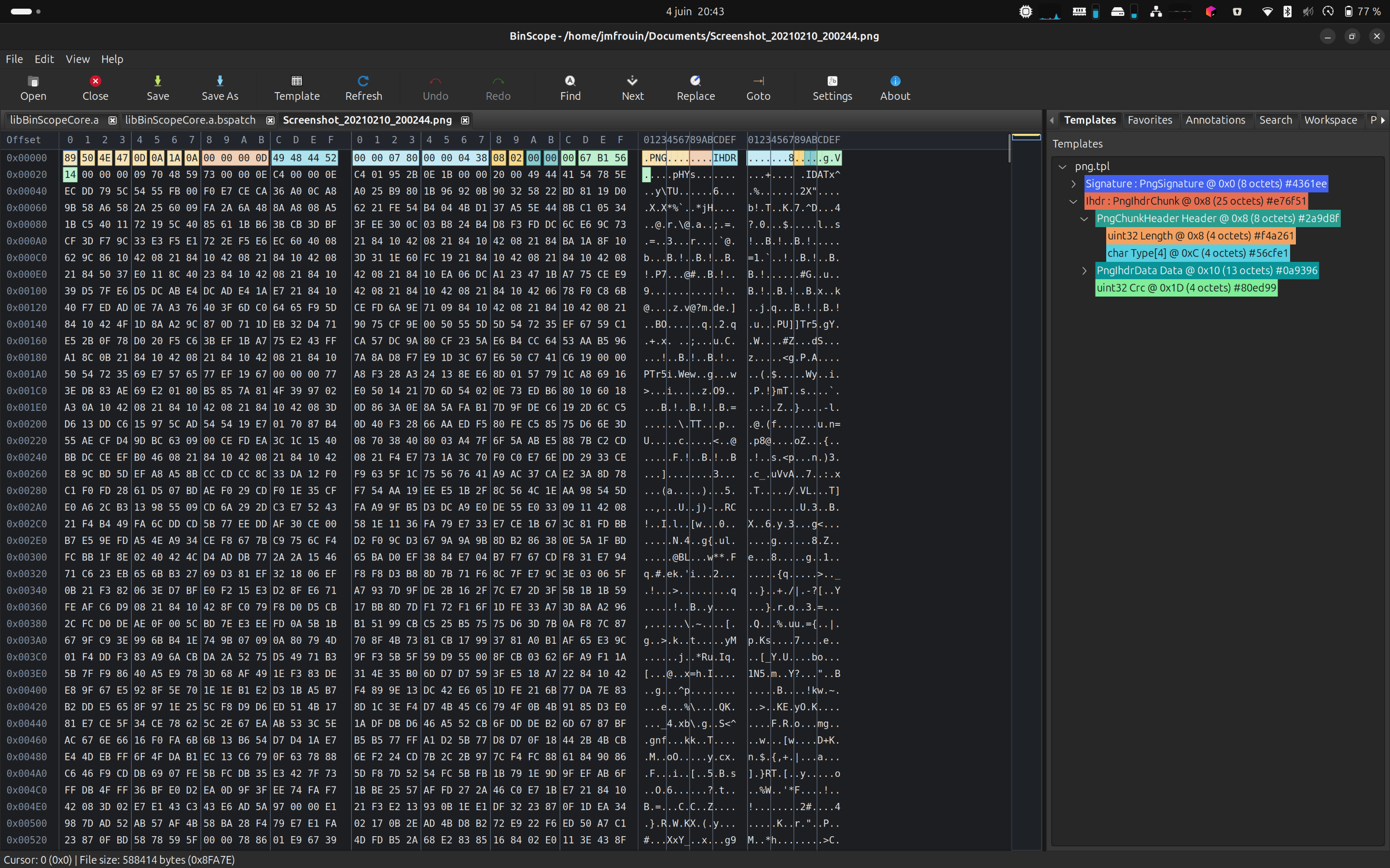BinScope templates panel next to the hex editor