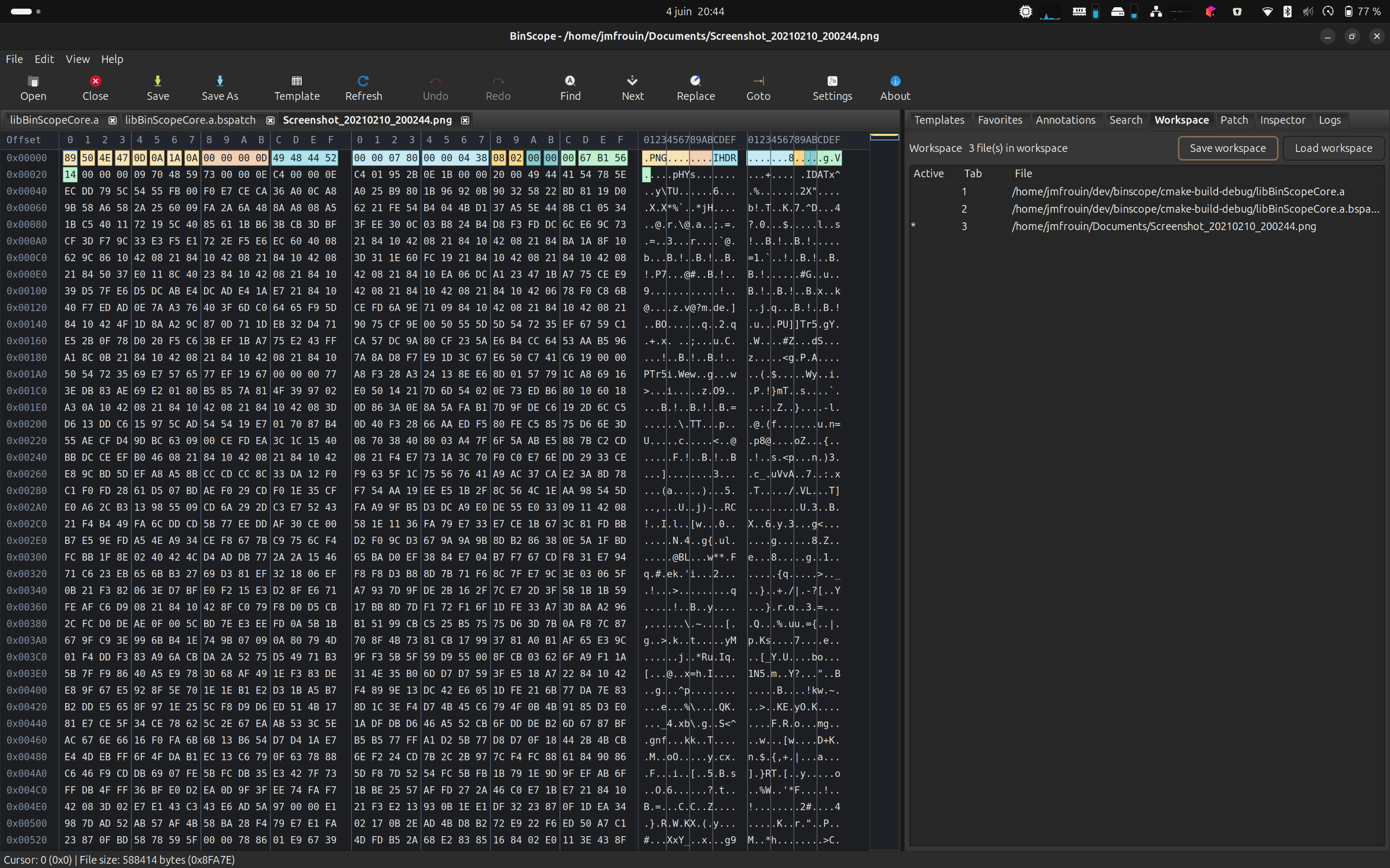 BinScope workspace panel showing saved investigation state
