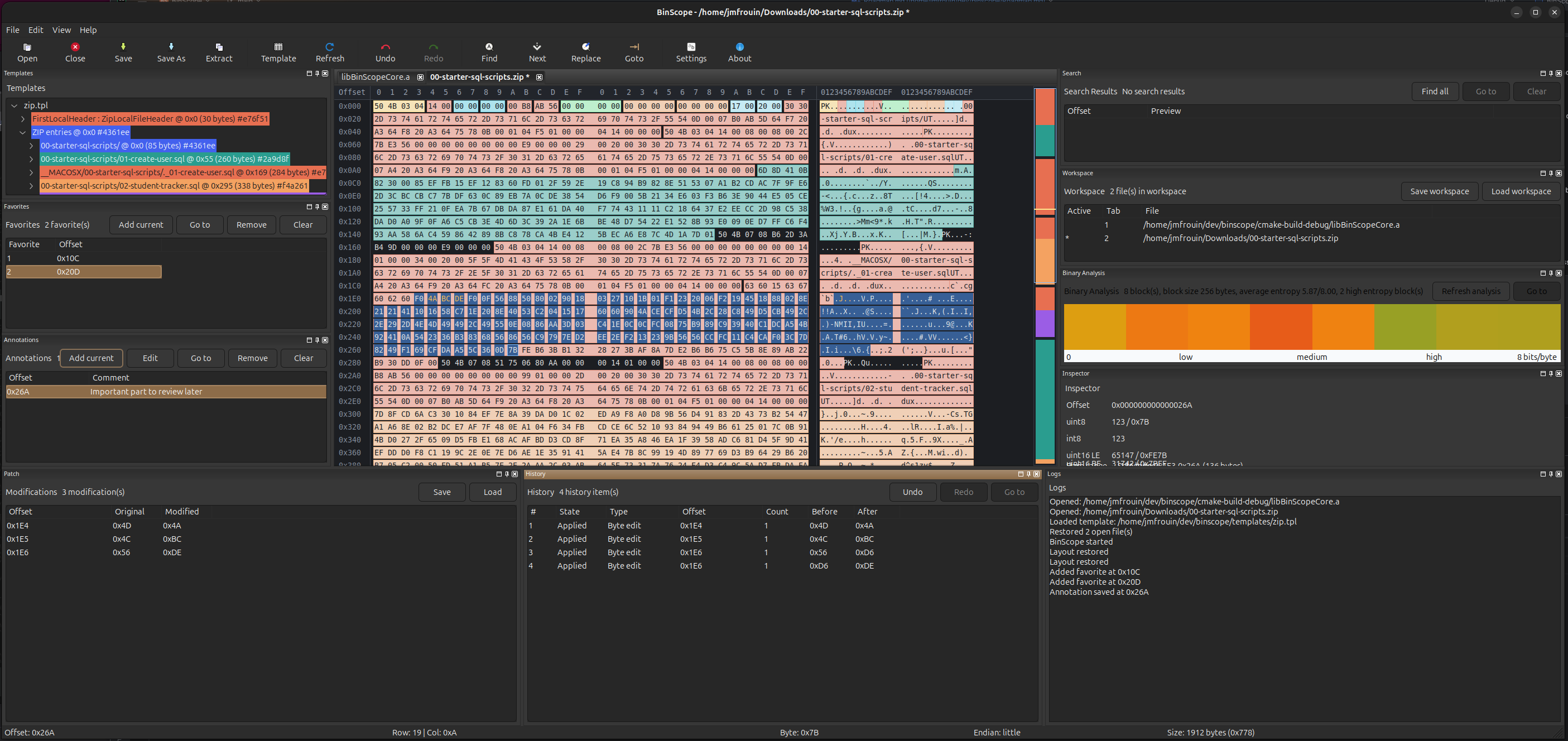 BinScope application screenshot
